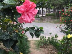 -广州市紫泥堂文化创意园景区