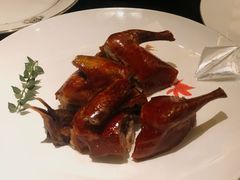 -甄御•海鲜新青岛菜(麦岛店)