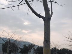 -风云岭森林公园