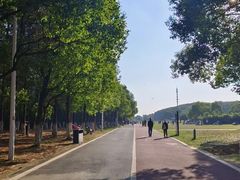 -艾溪湖湿地公园