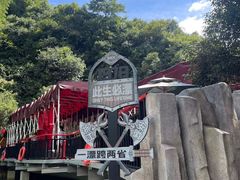 -将军关探险漂流