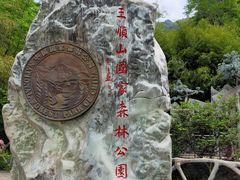 -王顺山国家森林公园