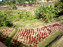 -泉州海丝野生动物世界