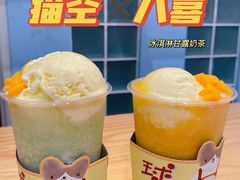 -猫的天空之城概念书店(苏州平江店)