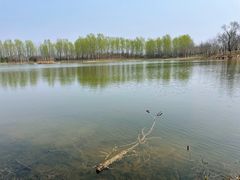 -东郊湿地公园