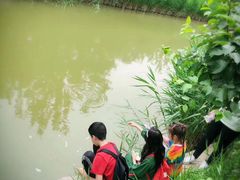-塘沽森林公园