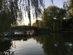 -沙市市中山公园