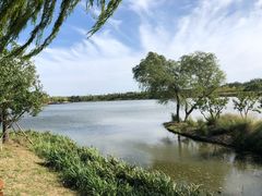 -东郊湿地公园