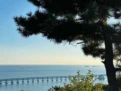 -星海湾跨海大桥