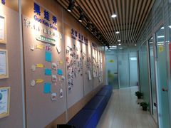 -大果情商(亲藤店)