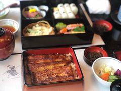 鳗鱼饭-鰻割烹 伊豆栄(本店)