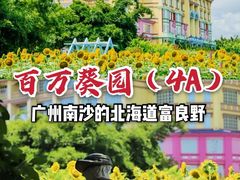 -百万葵园