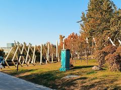-莫子山公园