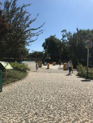-酷酷兔少儿拓展天地