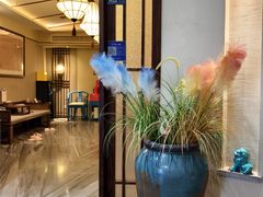 -鼎族怡华·指压·经络·疗愈SPA(紫荆店)