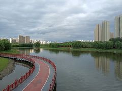 -蒲河岛湿地公园