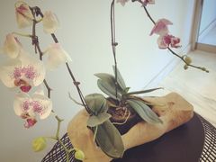 门外装饰-苗祖咖啡(洛克时代中心店)