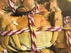 -七的湖·江南蟹舫·阳澄湖农家菜(蟹舫苑店)