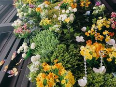 -食悦江南·淮扬菜·烤鸭(亚运村·惠新店)