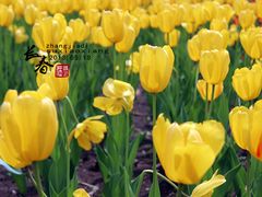 -长春公园(普阳街道)