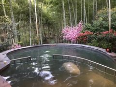 -天目湖御水温泉·度假酒店