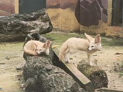 -昆明动物园