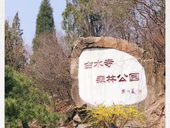 -白水寺森林公园