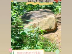 -北京西山国家森林公园