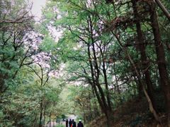 -南山风景名胜区