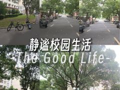 -东华大学(松江校区)