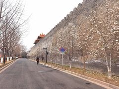 东华门-东华门大街小区