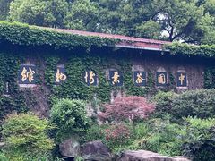 -中国茶叶博物馆(双峰馆区)