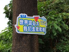 -广州市帽峰山景区