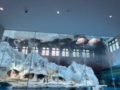 -帝企鹅自助餐厅•儿童岛•真企鹅(长隆企鹅酒店)