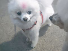 -海底捞火锅(长沙华创国际广场店)