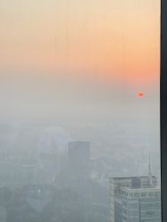 -大美母婴月子专护中心(紫峰店)