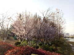 -龙门崮风景区