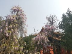 -北京国子监胡同