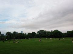 -荔香公园