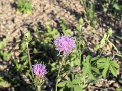 -汉长安城未央宫国家考古遗址公园