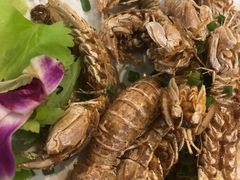 -友强·23年特色海鲜大排档(厦门店)