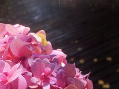-秘密小花园(第三中学店)