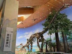 -延庆地质公园博物馆