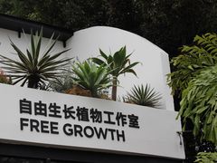-自由生长植物工作室(深港花卉中心店)