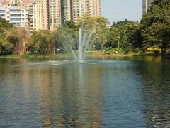 -晓港公园