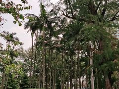 -北海市海滨公园