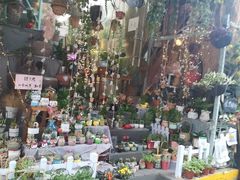 -循礼门鲜花花市(武汉循礼门店)