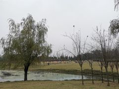 -两河城市森林公园