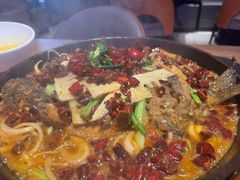 -老板恋上鱼(恒隆广场店)