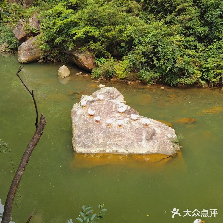 热爱105℃的你,来琼台仙谷避暑呀!